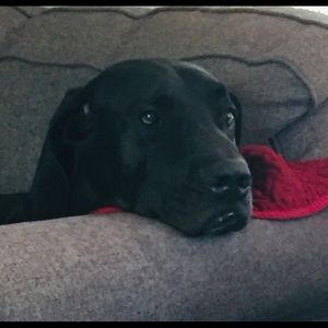 Meet your Posher, Justin